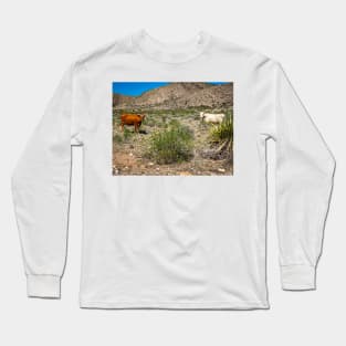 Criollo Cattle on the Open Range Long Sleeve T-Shirt